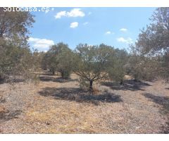 Finca rustica en Venta en Alora, Málaga