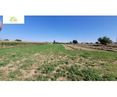 VENTA FINCA CRTA VILLARALBO