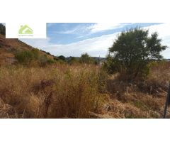 VENTA FINCA CRTA ALMARAZ