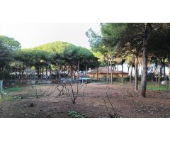 ¡Se Vende Parcela Proindivisa en el Camino Viejo de Rota!