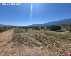 SE VENDE PARCELA  RUSTICA EN ABRUCENA  ZONA CAMPILLO