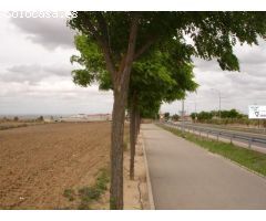 TERRENO DE 11985 METROS EN LA CALLE PARRILLA POL-5VK PAR-1220N