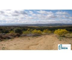 TERRENO DE 88.575 M2 EN SECTOR S-28, OLÍAS DEL REY, TOLEDO