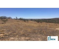 TERRENO DE 88.575 M2 EN SECTOR S-28, OLÍAS DEL REY, TOLEDO