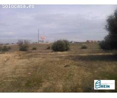 TERRENO DE 32415 M2 EN LUGAR SOTABARCA, PARCELA 7-13, OLÍAS DEL REY, TOLEDO