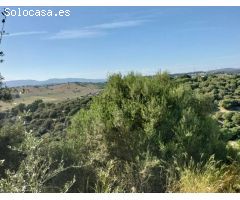 Terreno urbanizable en Venta en San Roque, Cádiz