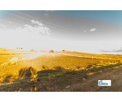 PARCELA RUSTICA DE 12186 M2 EN NUMANCIA DE LA SAGRA (TOLEDO).