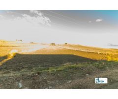 PARCELA RUSTICA DE 12186 M2 EN NUMANCIA DE LA SAGRA (TOLEDO).