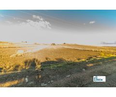 PARCELA RUSTICA DE 12186 M2 EN NUMANCIA DE LA SAGRA (TOLEDO).