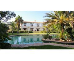 Hermosa Finca en Elche con 17.890 mts de Parcela y 1.100 mts Construidos