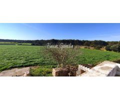 Casa de campo en Venta en Es Mercadal, Islas Baleares
