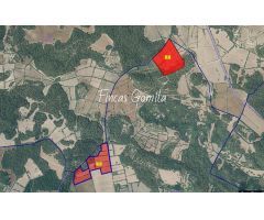 Casa de campo en Venta en Alaior, Islas Baleares