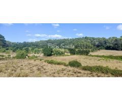 Casa de campo en Venta en Alaior, Islas Baleares