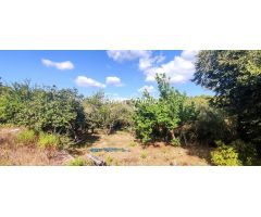 Casa de campo en Venta en Alaior, Islas Baleares