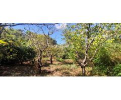 Casa de campo en Venta en Alaior, Islas Baleares