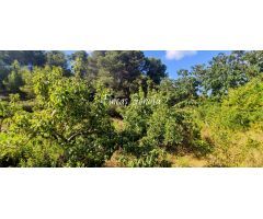 Casa de campo en Venta en Alaior, Islas Baleares