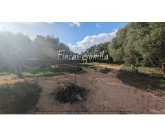 Casa de campo en Venta en Ciutadella de Menorca, Islas Baleares