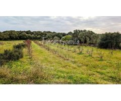 Casa de campo en Venta en Es Migjorn Gran, Islas Baleares