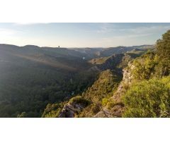 Tegeisa vende parcela con vistas despejadas