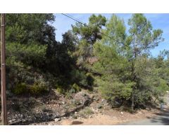 Tegeisa vende parcelas zona Las Gaviotas
