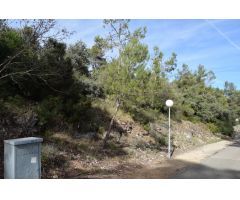 Tegeisa vende parcelas zona Las Gaviotas