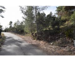 Tegeisa vende parcelas zona Las Gaviotas