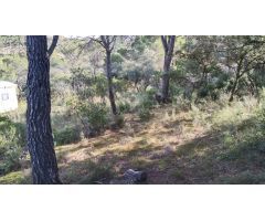 TEGEISA vende parcela de 1170 m² , parcela con espectaculares vistas.