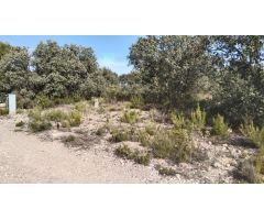 Tegeisa vende parcela con preciosas vistas en la Urbanización Nueva sierra
