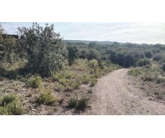 Tegeisa vende parcela con preciosas vistas en la Urbanización Nueva sierra