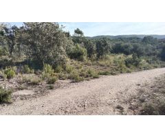 Tegeisa vende parcela con preciosas vistas en la Urbanización Nueva sierra