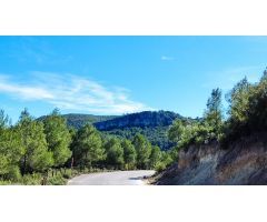 Tegeisa vende parcela con preciosas vistas en la Urbanización Nueva sierra