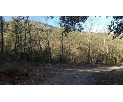 Casa de campo en Venta en Benamer, Girona