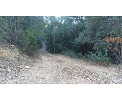 Casa de campo en Venta en Benamer, Girona