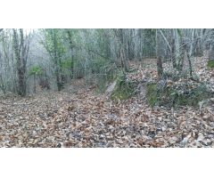 Casa de campo en Venta en Benamer, Girona