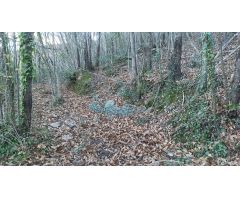Casa de campo en Venta en Benamer, Girona