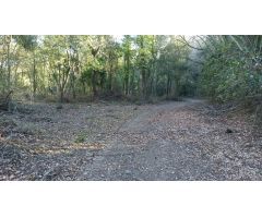 Casa de campo en Venta en Benamer, Girona
