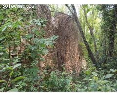 Casa de campo en Venta en Benamer, Girona