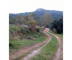 Casa de campo en Venta en Benamer, Girona