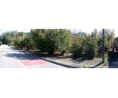 Parcela en Venta en Benamer, Girona