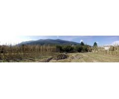 Parcela en Venta en Benamer, Girona