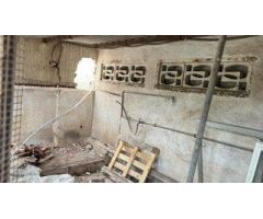 Se Vende Terreno de 1500 m² (50m x 30m)