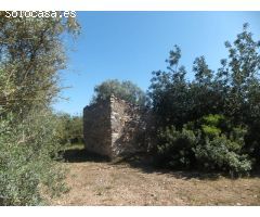 FINCA RÚSTICA CON VISTAS AL DELTA DEL EBRO