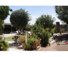 Chalet independiente con parcela junto a Los Girasoles