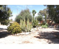 Chalet independiente con parcela junto a Los Girasoles