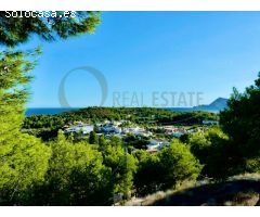 GRAN PARCELA CON VISTAS EN ALTEA