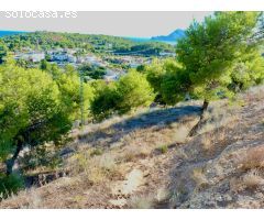 GRAN PARCELA CON VISTAS EN ALTEA