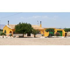 CHALET CON GRAN TERRENO EN LA ZONA DE VILLENA