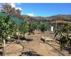 Casa de campo en Venta en Motril, Granada