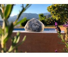 Casa de campo en Venta en Jete, Granada