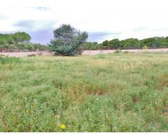Fantástico terreno urbano a 5 minutos de Alicante de las playas